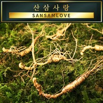 산삼사랑 산양산삼 산양삼 6-15년근 (자연산 모양 장뇌삼 파삼), 01번_산양삼 7~8년근 3뿌리 (총6뿌리)