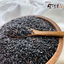 특품 2022년 햇 국산 찰진주, 1개, 20kg(포대)