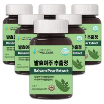 윌케어 발효여주 추출정 국내산 600mg x 60정, 6병, 6개, 36g