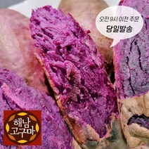 (백프로 품질보증제) 해남 자색 고구마, 중상, 3kg