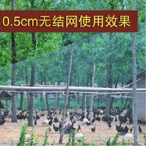 양계망 울타리망 과수원 닭망 새망 능형망 휀스, 폭 2m 길이 6m의 0.5cm 메쉬