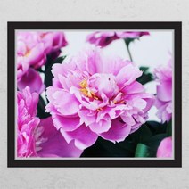 [바보사랑] 부를부르는풍수작약꽃_창문그림액자, 타입선택:A타입내부창문형