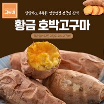 고씨네 특급 호박고구마3kg 호박고구마 꿀고구마, 단품