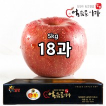 스노우애플 밀양얼음골사과 5kg / 금황사과 부사, 1박스, 5kg 18과