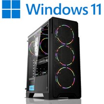 [왕가PC]WGCP 윈도우11 탑재 데스크탑 3D게임용 배그 풀옵션 게이밍 조립컴퓨터 롤 오버워치2 로스트아크 국민옵션부터 풀옵션 조립PC, 04. HDD 1TB 추가, 게이밍 04