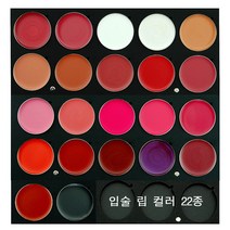 JX Professional 메이크업 국가자격증 입술 립컬러 3g 22색 컬러 단품, 1개, R21