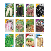 백찰 흑찰 얼룩찰 옥수수 검정 얼룩 강낭콩 서리태 흑 땅콩 스파클 완두콩 녹두 히카마 얌빈 더덕 씨앗 종자, 5.제일건강강낭콩 30g