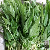 새벽들 당귀 (300g 500g 1kg), 1봉, 1kg