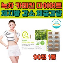 항산화 콜레스테롤 개선 카테킨 녹차 다이어트 보조제 식약처인증 체지방 감소 체중감량 뱃살 허벅지 팔뚝 살 뺄때 빼는 방법 법 몸매관리 컷팅제 40대 50대 여성 단기간 단기