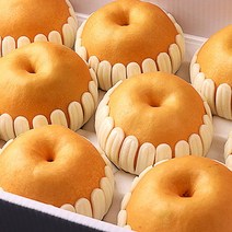 22년 맛좋은 나주 배 /정품/특품/제수용/5kg/7.5kg/15kg, 나주 배 정품 15kg (13-20과) 제수용/선물용