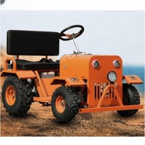 4인용 카트 다인승 버스 전기차 운반차 놀이동산 기차, free, 1인600W48V20A(주문후컬러선택)