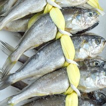 디카운티 영광 법성포 굴비 특대 굴비특대장대 추석선물 세트 굴비선물세트 왕특대 국산 참조기 설 선물 세트, 01. [법성포굴비] 진공포장 20미