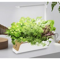 가정용 스마트팜 LED 수경재배기 허브2종+영양제 증정