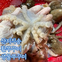 곰곰 국산 손질 쭈꾸미 (냉동), 500g, 1개