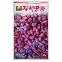 자색땅콩 씨앗 20g 다농