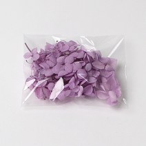 화연양화 프리저브드플라워 수국 1g 컬러최다 30색! 레진아트 캔들 하바리움 꽃재료, 13 바이올렛