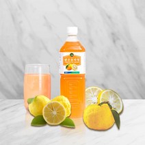 진주원예농협 유자청 1000ml