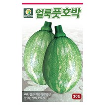 더존 복수박 씨앗 10립 - 수박씨 복수박씨 꿀수박 야채씨앗 채소씨앗 채소재배 종묘 종자 베란다 텃밭 씨 씨앗 오이 호박 방울토마토 참, 13_다농_얼룩 풋호박(30립)