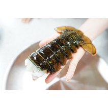 랩쿡 캐나다 직수입 랍스타테일 120-200g 1마리, 1개, 1마리 145g~170g