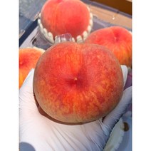 복숭아 신비 납작 딱딱이 반납작 대극천 말랑이 천도 경봉 신선, 말랑이복숭아황도1.25kg, 1개