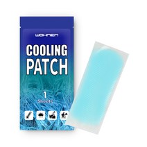WOHNEN 붙이는 쿨패치 무향 냉패치 아이스쿨팩 냉찜질 휴대용, 1개