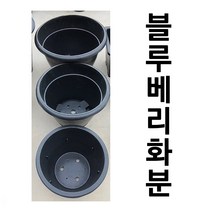 블루베리화분 5개 화분 고무화분 대형화분 큰화분