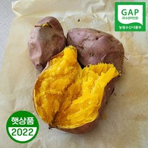호박고구마 5kg 10kg 당진 꿀고구마 안노베니 아침식사대용, 1box, 한 입 10kg