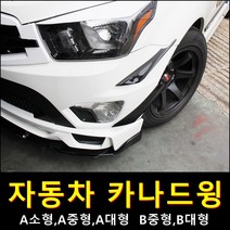 카나드윙 자동차튜닝에어윙 덕트 카나드 범퍼, A타입(소형좌우세트)