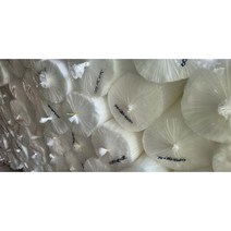 사각백업 유리 샷시 코킹 실리콘 샤시 사각백업재 백업재 백업제 원형, 22mm X 25mm = 500M