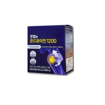 콘드로이진 관절엔 콘드로이친 1200 60정