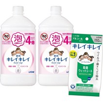 Lion 일본아마존 라이온 약용 키레이키레이 핸드워시 손세정 800ml 2개 1세트 증정