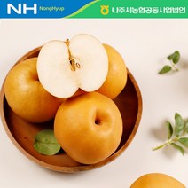 [나주농협APC] 가정용 농협 나주배 신고배 3kg (5과 내외), 단품