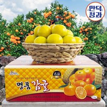 제주 만덕청과 귤 농장 산지직송 노지 감귤 실중량 2kg 3kg 5kg 10kg 15kg, 06.노지감귤 소과 (2S) 2kg, 1개