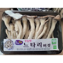 [특급] 느타리버섯 200g 3팩 5팩 10팩 참타리, 느타리버섯5팩