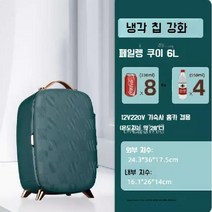 소형 미니냉장고 기숙사 화장품 음료수 캠핑 인테리어 홈바 자동차, F 6L
