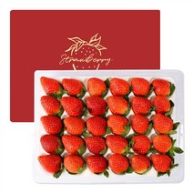 프루미츠 산청군농협 설향 딸기 800g 이상 (24과 or 30과)