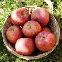 경북사과 부사 꿀사과 가정용 흠과, 꿀사과(*가정용/소과) 2kg(11~13과), 단품
