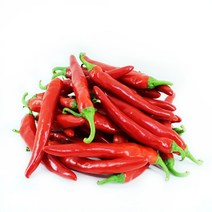 채선 햇볕 잘받아 붉은 홍고추 500g 1kg, 1포