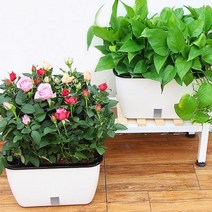 모던 디자인 자동 수분 공급 화분 홈 텃밭 채소 소형 SC02소형화분 자동급수 아파트에서토마토 딸기키우기 토마