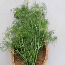 안산팜 허브 생잎 딜 레몬딜버터, 1봉, 딜50g