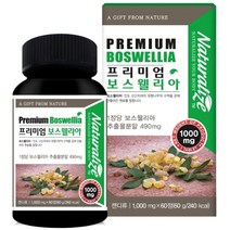 보스웰리아 분말 보스웰릭산 가루 관절 연골 프리미엄 보스웰리아 인도산 파우더 뼈건강 추출물 보수엘리아