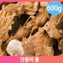 단풍잎 모양 마뿌리 600g 통 단풍마 건조 약재 건강차