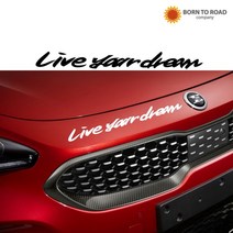 ＧОÐＺｉĿŁА몰캘리그라피 슬로건 데칼스티커 스팅어 차량스티커 데칼스티커 차량꾸미기 자동차꾸미기 자동차스티커????ŁØvŒ????, 금색무광, ︽︽L