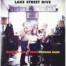 리처드 쉰델 Richard Shindell What Im Doing Here / Wedding Band LP 음반 바이닐 레코드 앨범