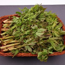 [스마일겟] 강원도 인제 눈개승마(삼나물) 1kg, 1개