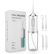 구강세척기 물치실 구강 Irrigator 치과 물 Flosser 220ML 워터 제트 4 노즐 타르 리무버 치아 화이트닝 클, 01 WHITE