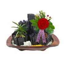 한반도농원 C91-1. 함지박소 풍란1 + 카네이션 참숯 숯분재 생일선물 답례품 체험학습용, 1개