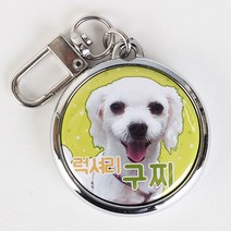 왈가독 사진으로 만드는 강아지 고양이 포토 인식표 이름표, 연두