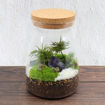 모스홀릭 코르크 이끼 테라리움용기 유리병 유리화분 유리볼 어항 2종 택1 볼륨형 우유병형, A.볼륨형, 1개