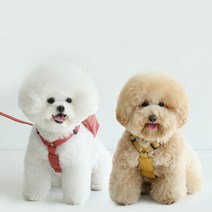 [카민프로젝트] 강아지 외출용품 큐브 하네스(주문제작), 카민